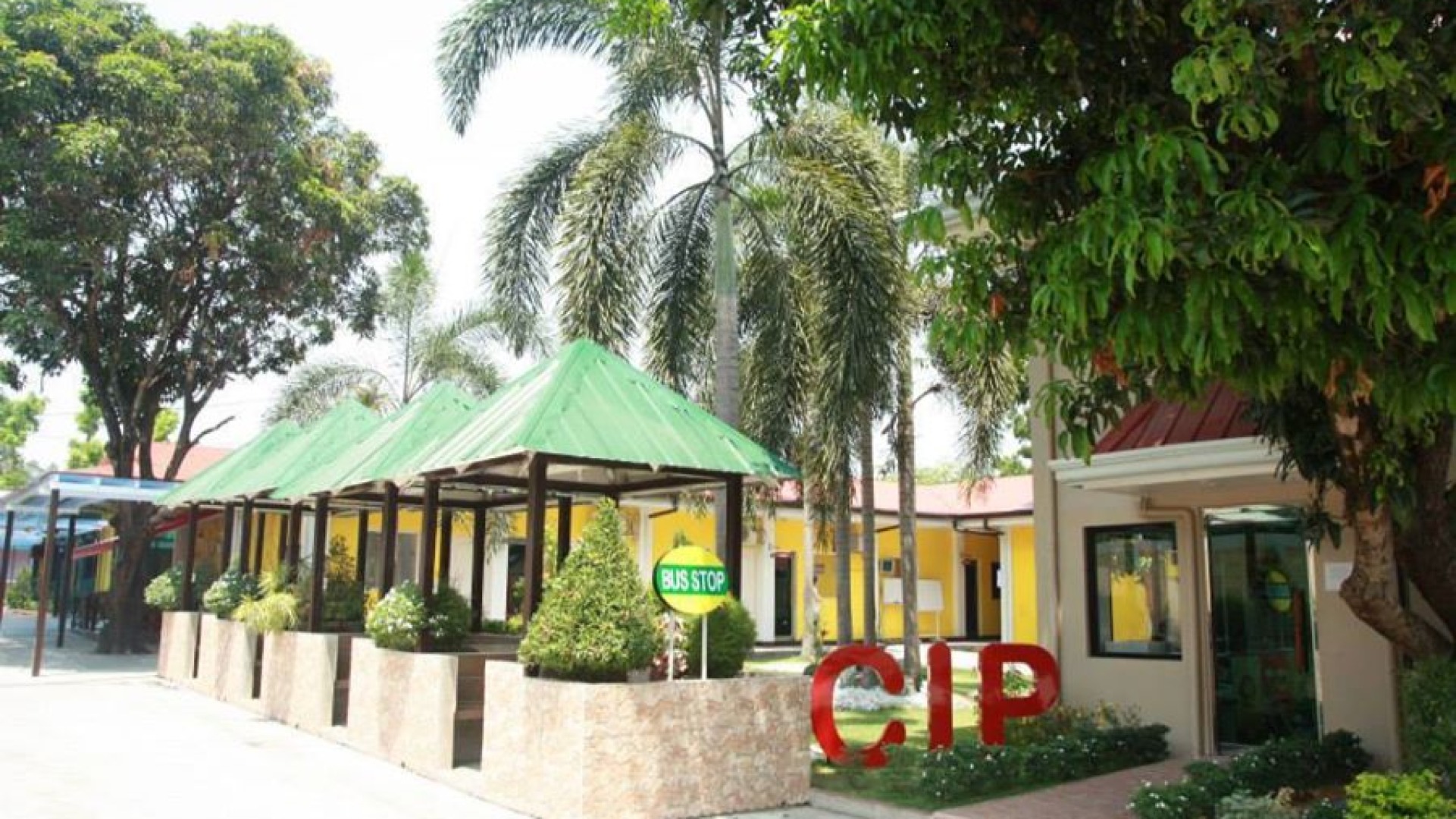 CIP語言學校 Banner